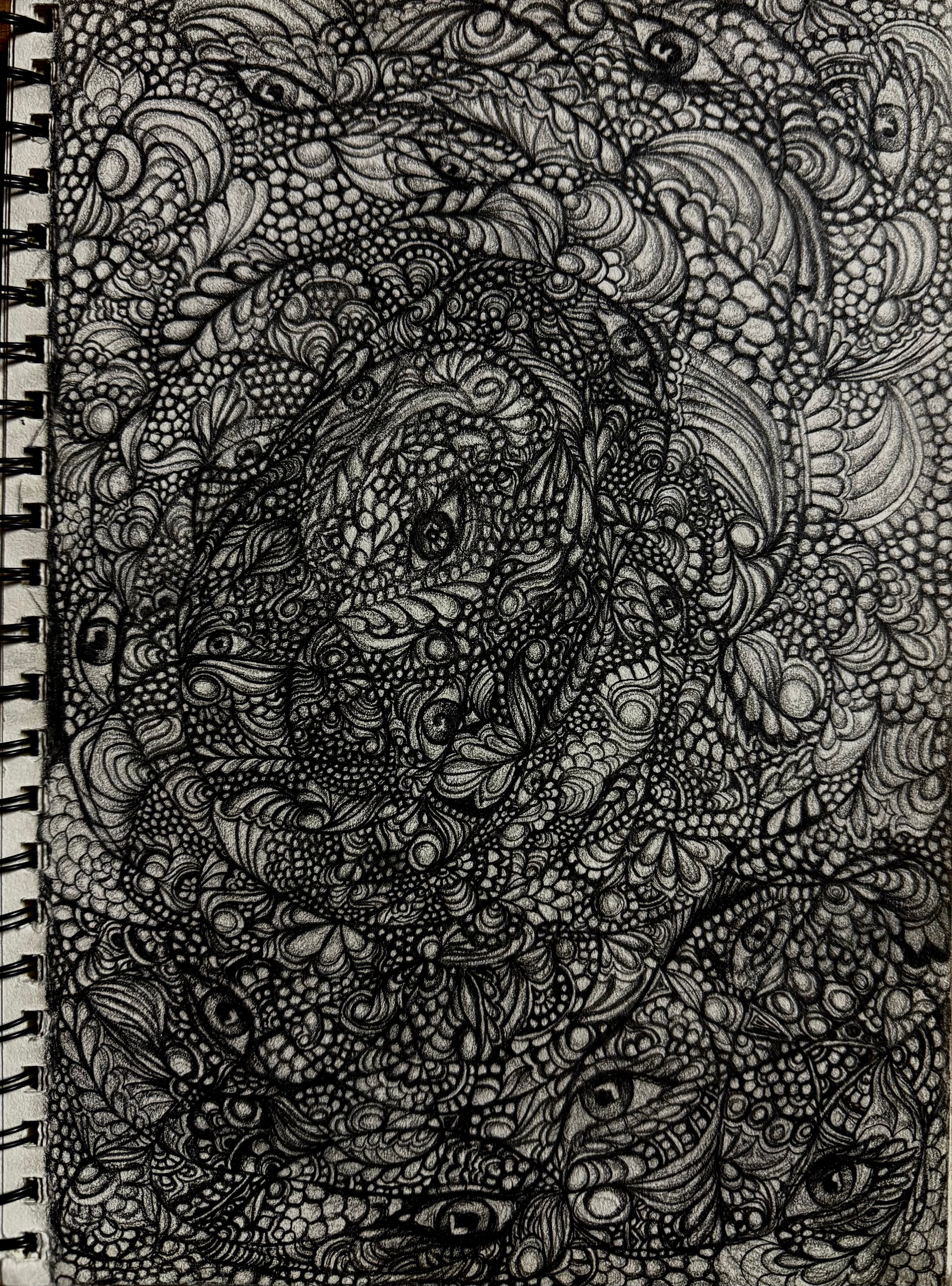 Dense graphite doodle filled with looping organic patterns and watchful eyes